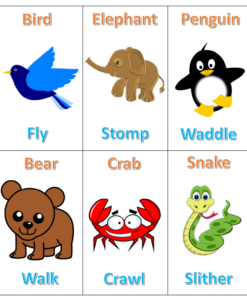Movement Games and Activities