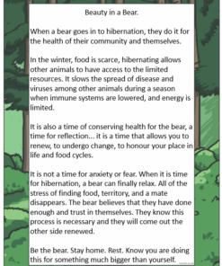 Beauty in a Bear PDF